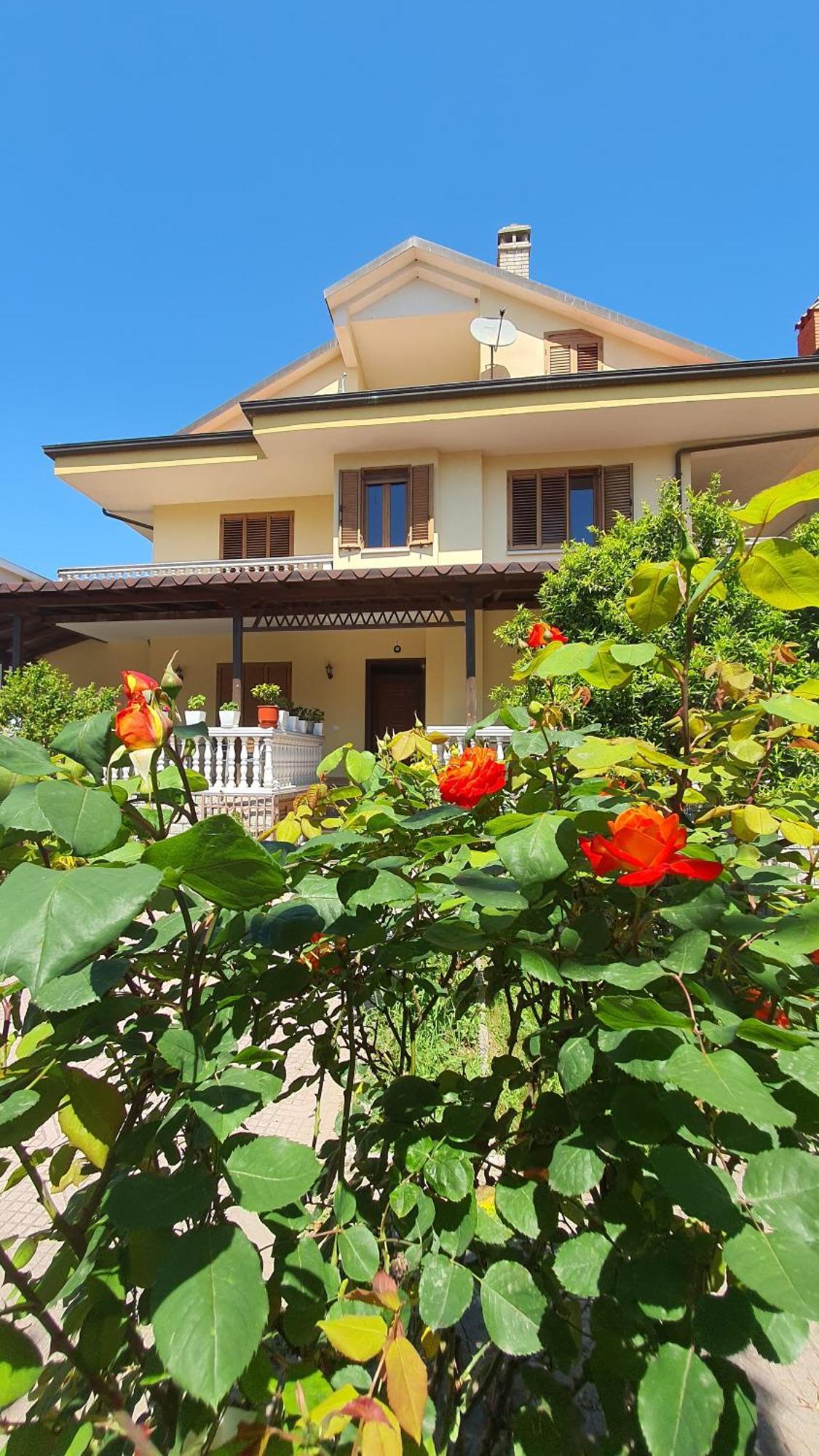 Vizion Hotel Shkodër エクステリア 写真